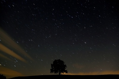 誕生間もない「4重連星系」を観測、天文学者チーム