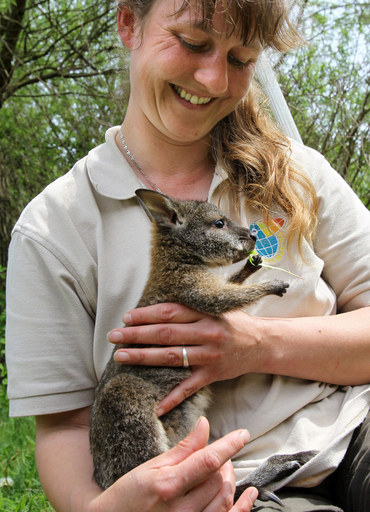 仲良しこよし？カンガルーとオウムの赤ちゃん、独動物園