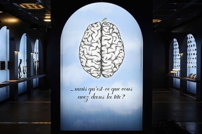 成人期の読字学習で脳が変容、研究