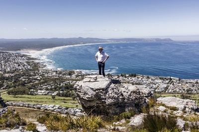アイデンティティーを追求 南アフリカ産ワインの魅力