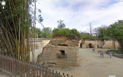 ストリートビューで世界の動物園を訪問
