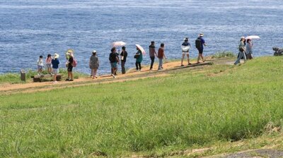 「宿泊費安くします」…4万ウォンを受け取った旅行客、46万ウォン使った – KOREA WAVE