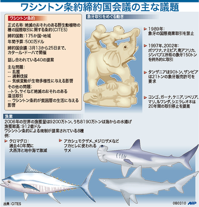 【図解】ワシントン条約締約国会議の主な議題