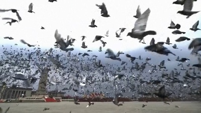 中国共産党創立100周年祝賀大会でハト20万羽を放つ