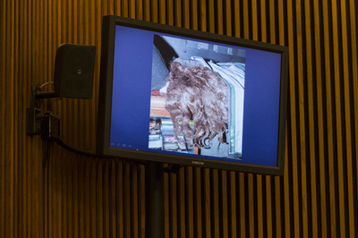 被告に終身刑と禁錮1000年、米3女性監禁事件