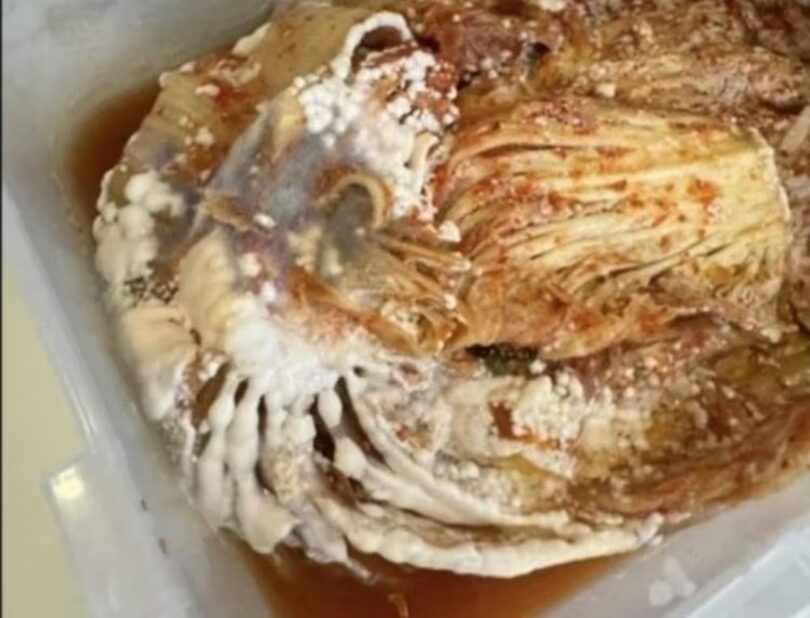 オンラインコミュニティ(c)news1