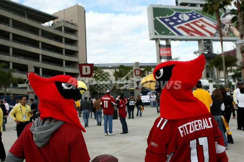 観戦を楽しむファン、NFL第43回スーパーボウル