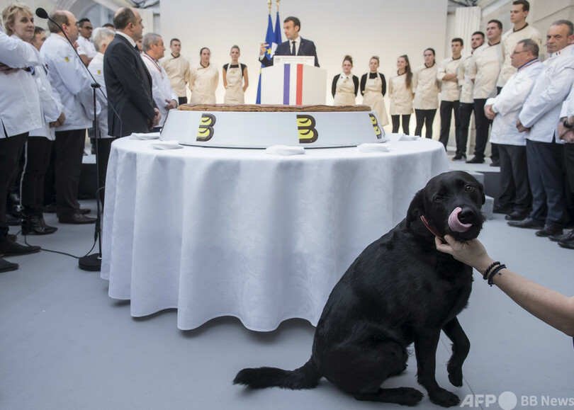 「捨てられたペットを引き取って」 マクロン仏大統領の愛犬、動画で訴え