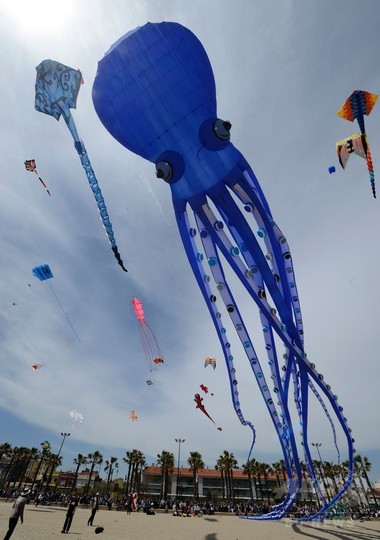 巨大なタコやカメが大空を泳ぐ スペインで国際たこ揚げ大会 写真18枚 国際ニュース Afpbb News