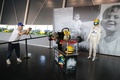 イタリアのイモーラ（Imola）で開催された故アイルトン・セナ（Ayrton Senna）氏の没後20年追悼式典で展示品を眺める人々（2014年5月1日撮影）。(c)AFP/MAURO MONTI
