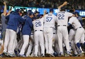 17MLBプレーオフ、ナ・リーグ優勝決定シリーズ（7回戦制）、ロサンゼルス・ドジャース対シカゴ・カブス。ジャスティン・ターナーのサヨナラ本塁打を喜ぶロサンゼルス・ドジャースの選手（2017年10月15日撮影）。(c)AFP/Getty Images/Ezra Shaw