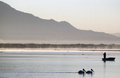 メキシコ・ハリスコ州の貯水池に集まった鳥（2022年3月15日撮影、資料写真）。(c)ULISES RUIZ / AFP