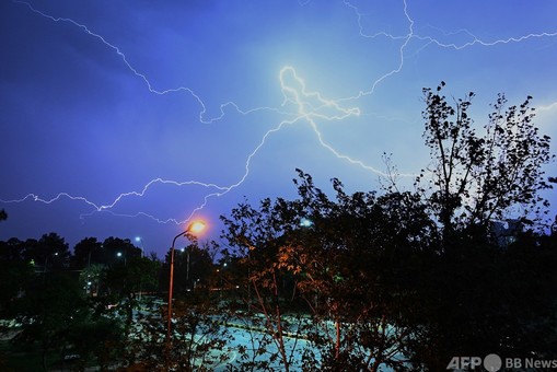 特集】AFPがとらえた落雷の瞬間 収蔵写真から厳選 写真100枚 国際