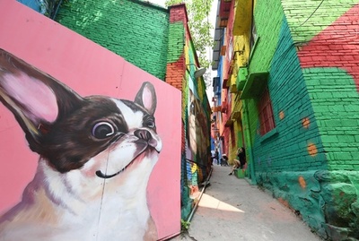 古い市街区にストリートアート、鮮やかな彩りでコラボ 中国・重慶