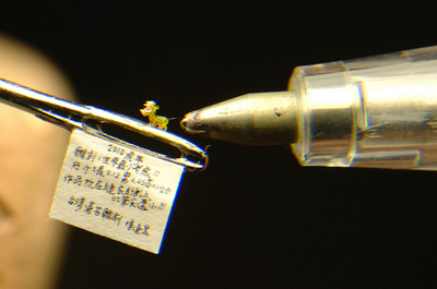 銀行員にしてミニチュア彫刻家、今度は世界最小のトラを制作 台湾