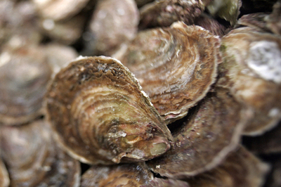 バイアグラで「媚薬効果増強オイスター」を考案