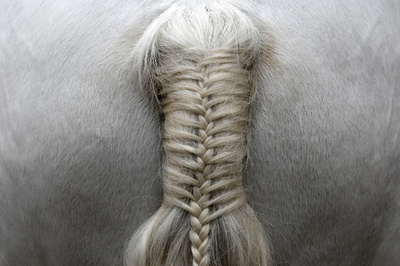 【今日の1枚】祭りの主役のおしゃれ、ネパール