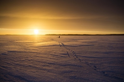 世界で最も幸せな国はフィンランド 国連調査、日本54位