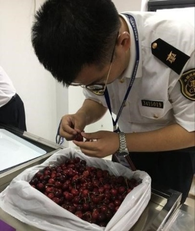 米国より直送、季節の果物 中国・安徽省