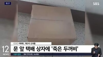 「玄関前に死んだカエルと生きたトカゲが」…韓国・騒音トラブルで上階の住民が不気味な嫌がらせ、警察に通報30回超