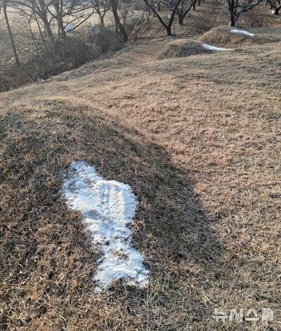 「墓11基に塩散布」は「祖先の声」を信じた60代の行動だった…韓国「お告げ」で器物損壊　