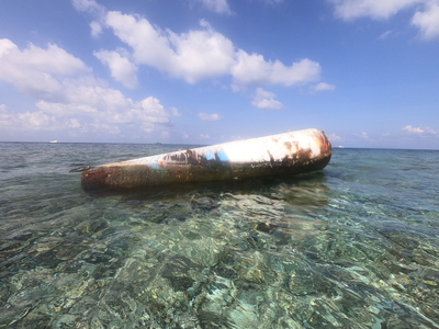 フィリピンの不法座礁軍艦がサンゴ礁損なう　中国が調査報告