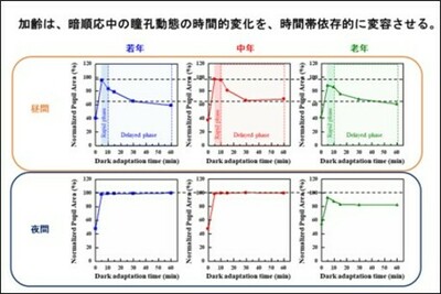 【摂南大学】暗闇適応時の瞳孔反応は時間帯や加齢で変化 マウスを用いた研究から時間的特徴を発見