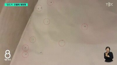 「顔の上を何かが…」韓国・宿泊中のホテルでまさかの“ダニ地獄”、家族4人が刺され病院送り