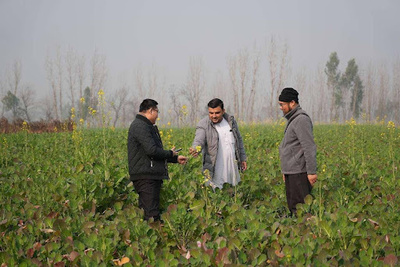 先進技術がパキスタンの農業生産に活力をもたらす