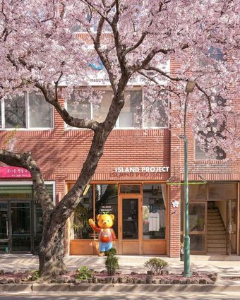 アイランドプロジェクト済州1号店売り場（ロッテ百貨店提供）(c)news1