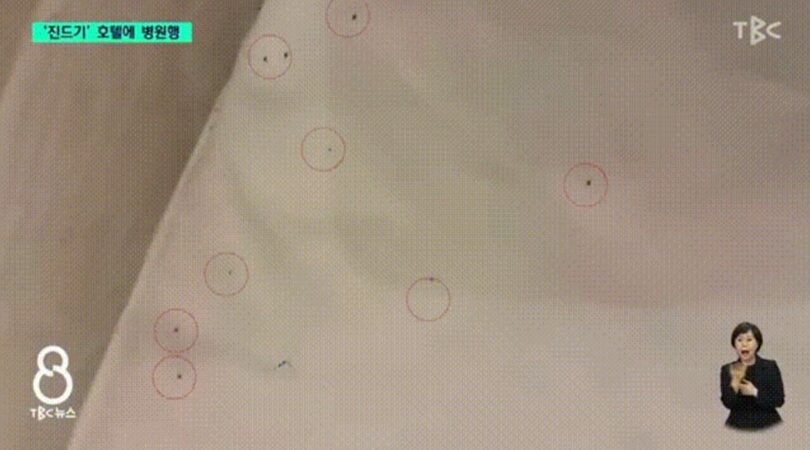 TBCニュースキャプチャ(c)NEWSIS