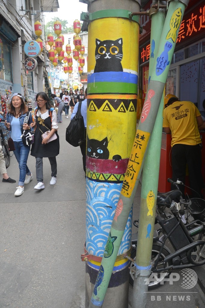 アモイの「猫街」へいらっしゃい