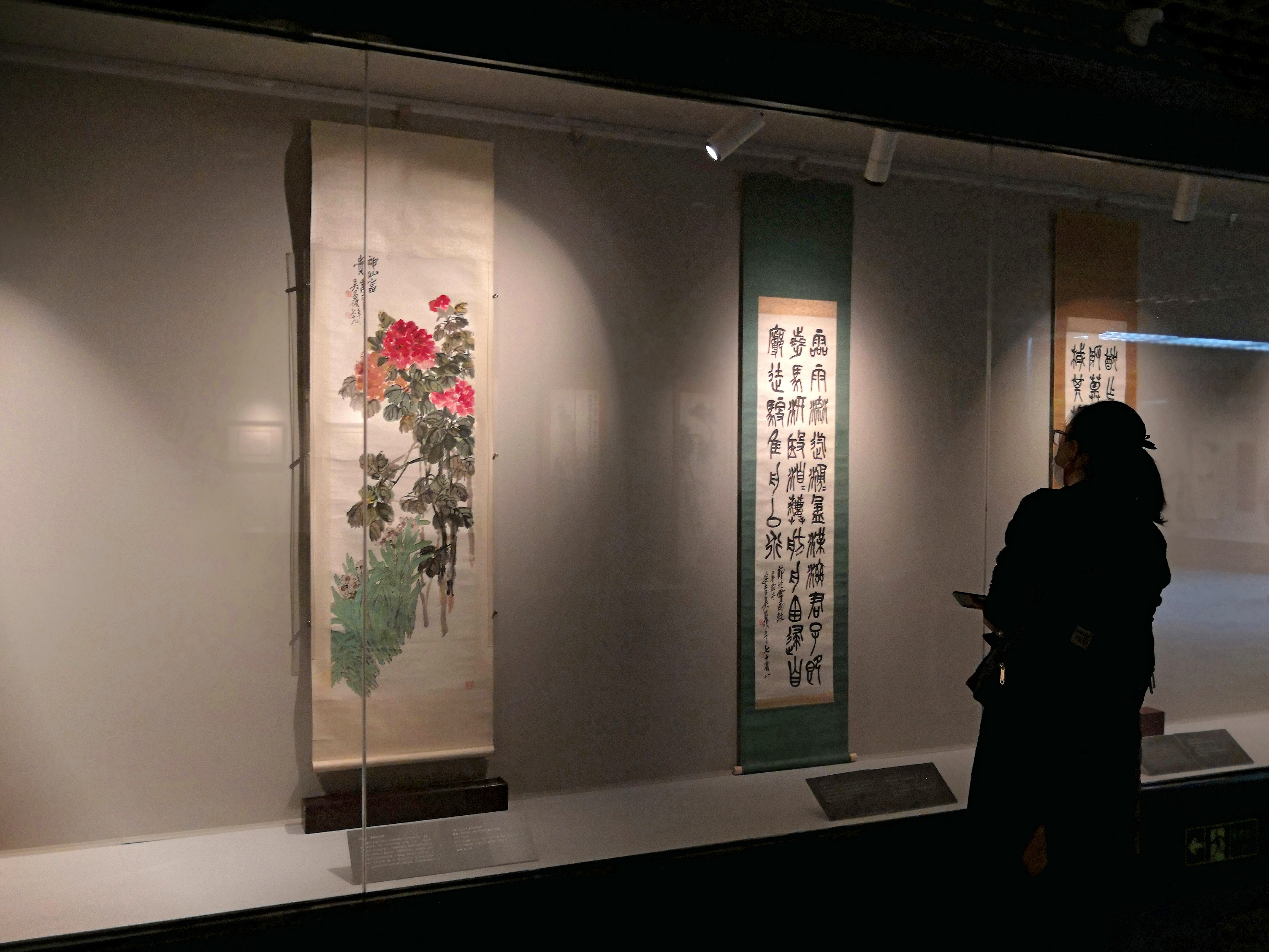 南呉北斉の芸術世界－呉昌碩、斉白石作品展」、瀋陽で開幕 写真9