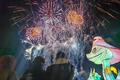 吉林省の遼源市動植物園で花火を見る観光客（2024年12月31日撮影）。(c)Xinhua News
