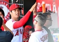 大谷が本拠地初登板で12奪三振 7回1安打無失点の快投 写真6枚 国際ニュース Afpbb News