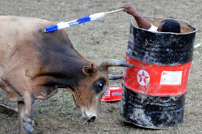 これでも闘ってます、コロンビアの人気闘牛イベント