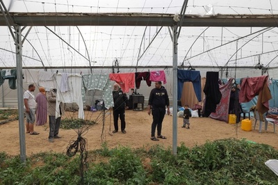 ガザの死者2万1320人に、1日で210人死亡 保健当局