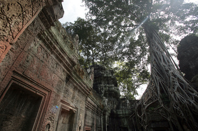 映画『キングスマン』カンボジアで上映禁止、「犯罪の温床」と描写