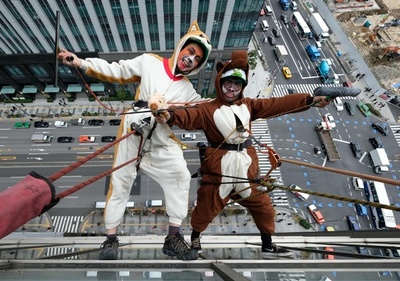 身軽な？イヌとイノシシ、ホテルの窓を大掃除 東京