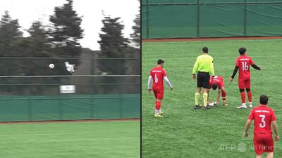 ボール直撃のカモメを心肺蘇生法で救う、「英雄」はトルコのアマサッカー選手