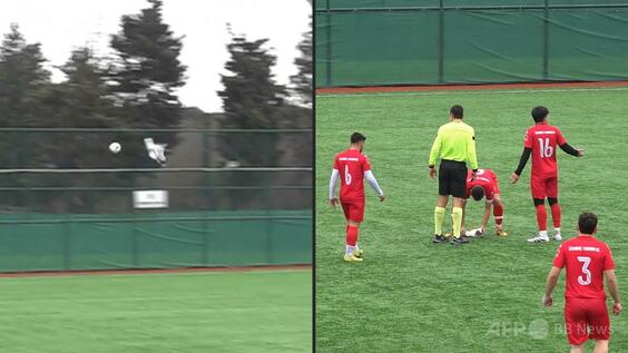 ボール直撃のカモメを心肺蘇生法で救う、「英雄」はトルコのアマサッカー選手