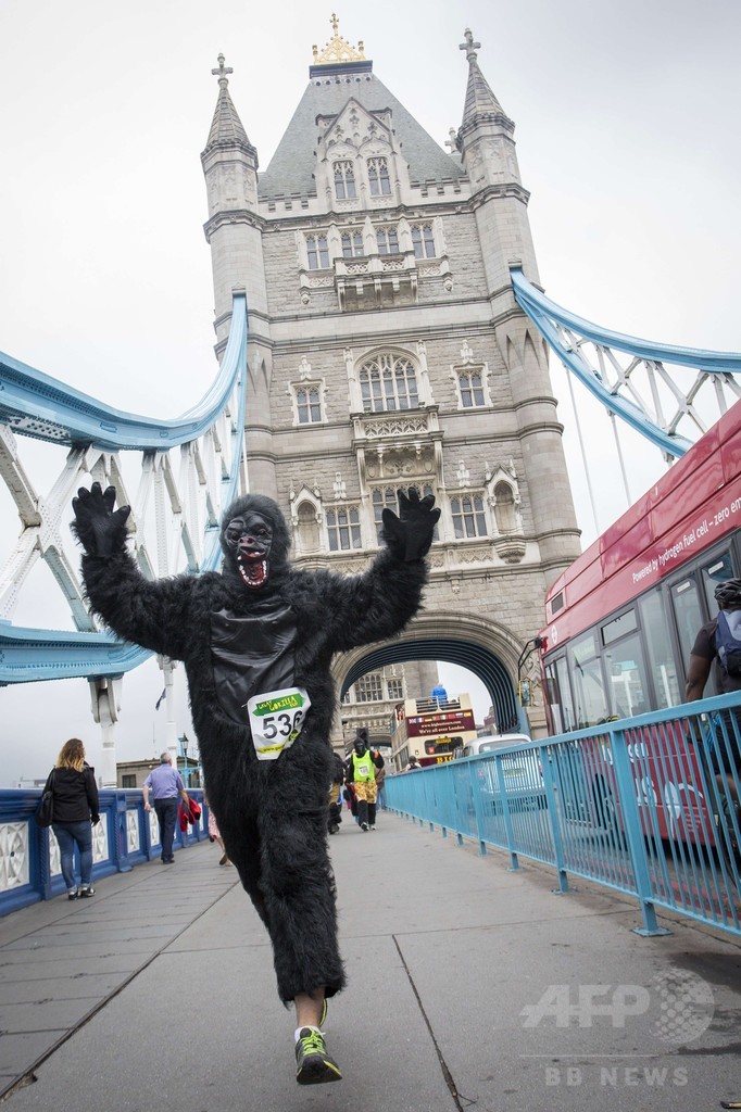 ロンドンを ゴリラ が走る 保護に支援呼び掛け 写真6枚 国際ニュース Afpbb News