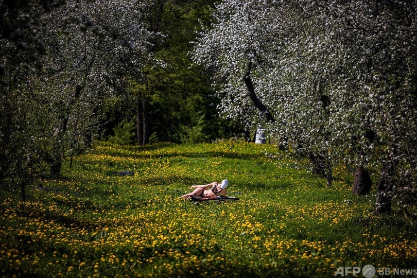 ライラックやリンゴの花に包まれて ロシア・モスクワ
