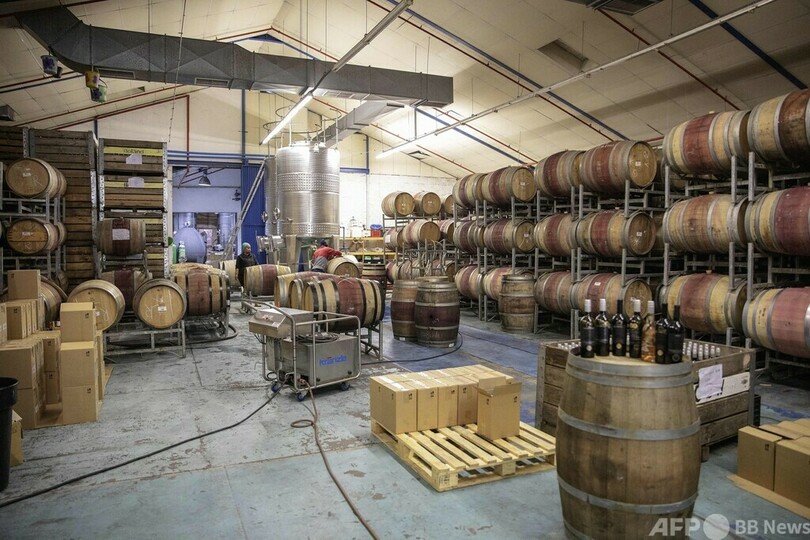 白人占めるワイン業界に新風を 黒人が参入 南ア