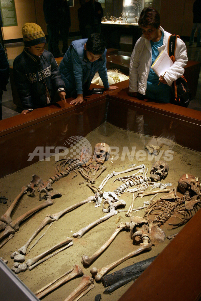 メキシコが誇る国立人類学博物館、マヤ・アステカ文明の遺跡を展示中