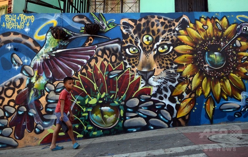 グラフィティーに込める平和への思い コロンビア 写真25枚 国際ニュース Afpbb News グラフィティーに込める平和への思い コロンビア 写真25枚 国際ニュース Afpbb News