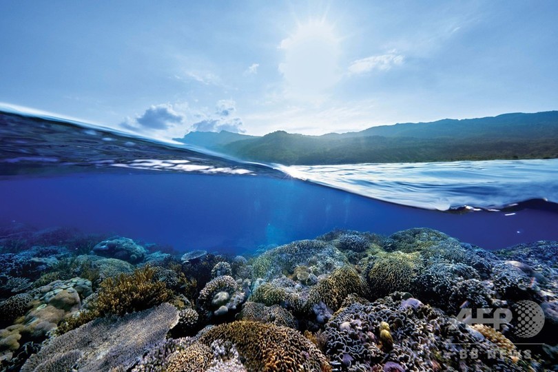 ドゥ ラ メール 美しい海を守る ブルー ハート 活動 限定アイテムも 写真4枚 国際ニュース Afpbb News