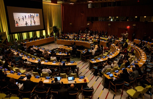 国連で初の若者気候サミット、青年が熱いスピーチ 「今こそ私たちがリーダーに」