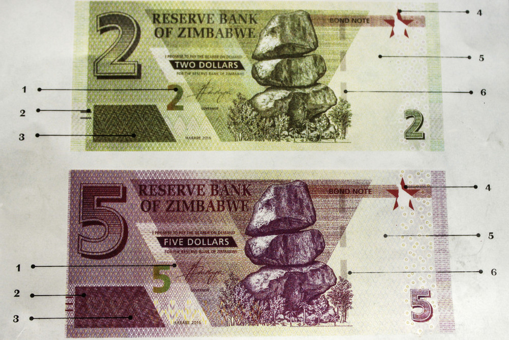 ジンバブエ、「代理」ドルを発行 ハイパーインフレの再来懸念で 写真10枚 国際ニュース：AFPBB News