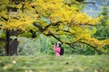 甘粛省隴南市の田河村でイチョウの木を撮影する観光客（2023年10月20日撮影）。(c)Xinhua News
